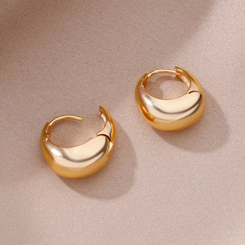 Gold Color Hoop Earrings for Women Oval Circle Stainless Steel Earrings 2024 Trending Femme Elegant Piercing Ear Jewelry Aretes