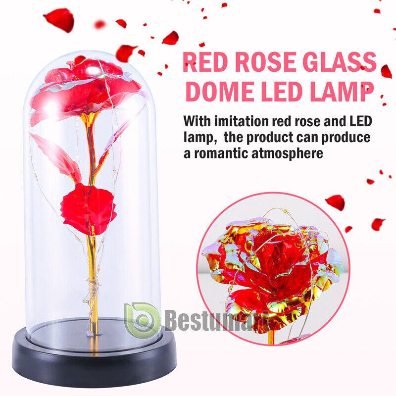 Rose LED Light Glass Gifts for Wife Women Mom Her Christmas Girlfriend Birthday