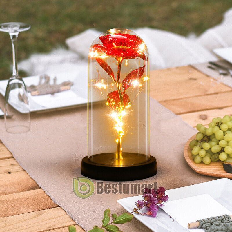 Rose LED Light Glass Gifts for Wife Women Mom Her Christmas Girlfriend Birthday