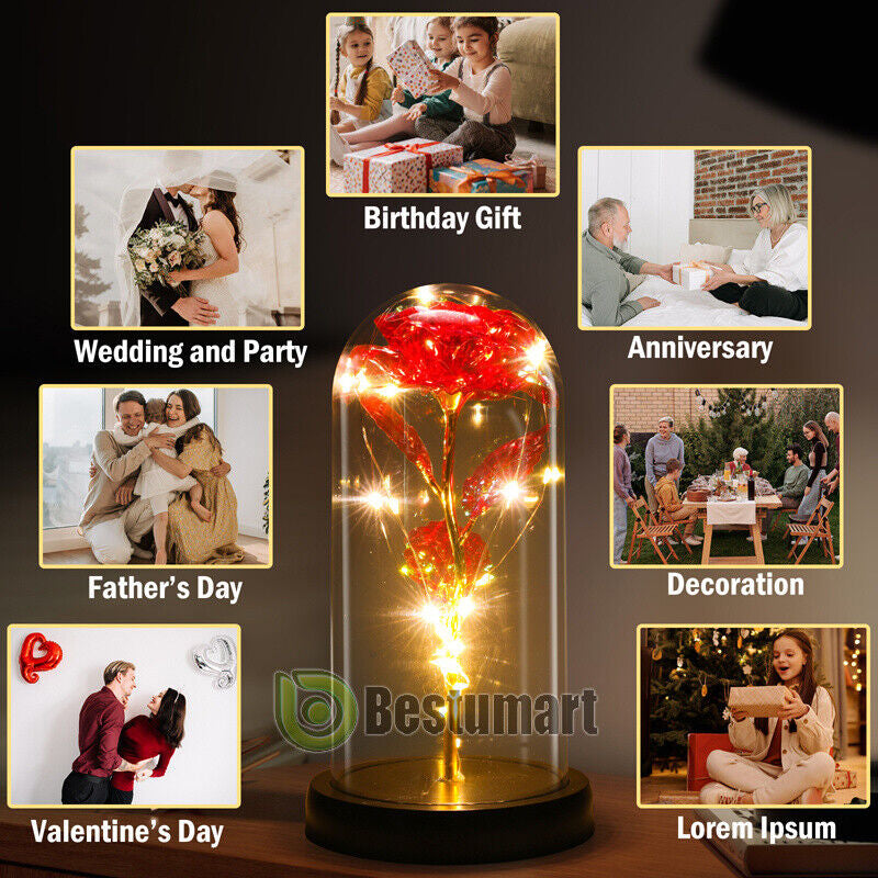 Rose LED Light Glass Gifts for Wife Women Mom Her Christmas Girlfriend Birthday